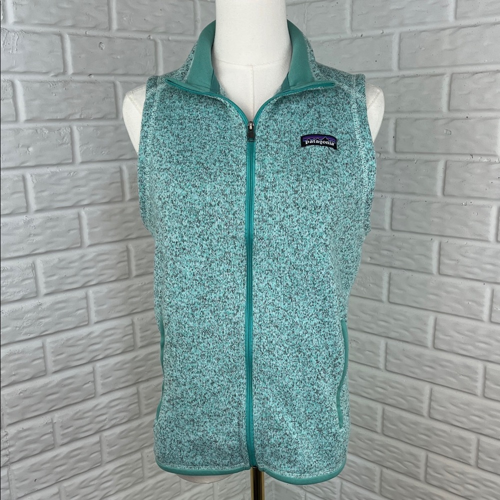 Patagonia Teal Marled Fleece Vest